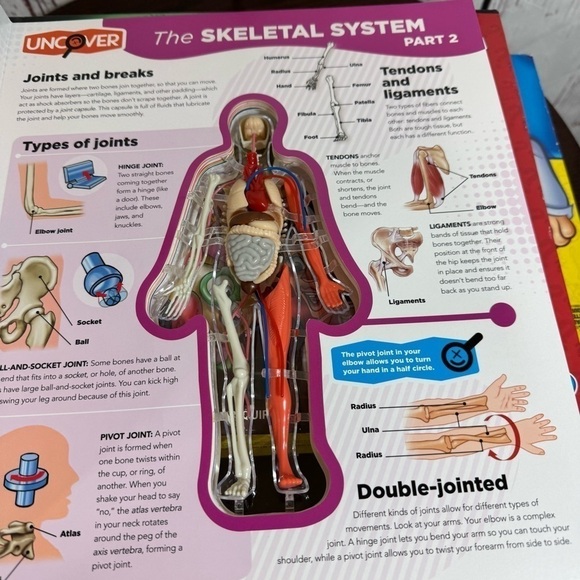 boardgames for kids lot of 3 operation, clue junior, the human body - Picture 6 of 10